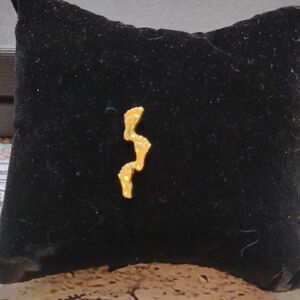 Tiny Footprints in the Sand Pin.  P1